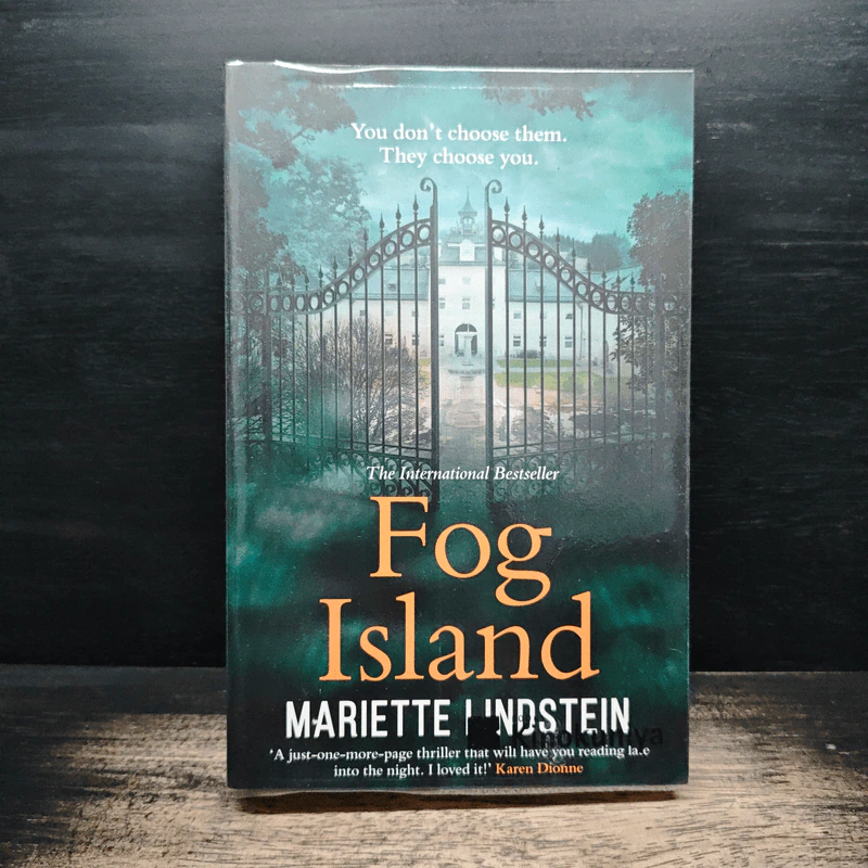 Fog Island - Mariette Lindstein รูปที่ 1