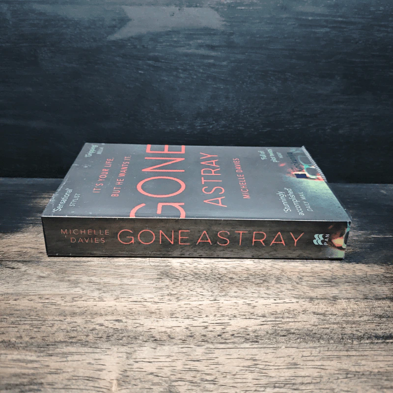 Gone Astray - Michelle Davies รูปที่ 3