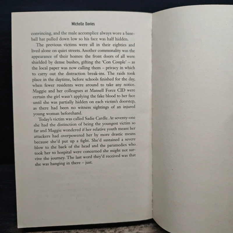 Gone Astray - Michelle Davies รูปที่ 8