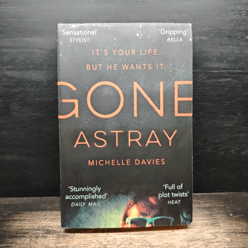 Gone Astray - Michelle Davies รูปที่ 1