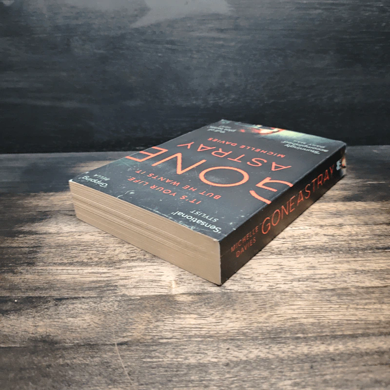Gone Astray - Michelle Davies รูปที่ 5