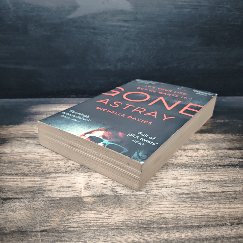 Gone Astray - Michelle Davies รูปที่ 4