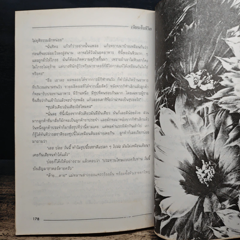 ไปให้ถึง ดวงดาว ภาค 2 ฉบับเจียระไนชีวิต - ดร. พรรณราย ทรัพยะประภา รูปที่ 9