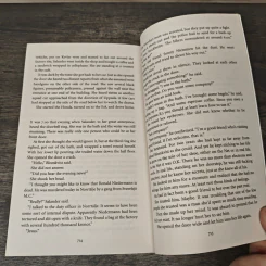 The Girl Who Kicked The Hornets' Nest - Stieg Larsson รูปที่ 8