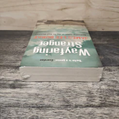 Wayfaring Stranger - James Lee Burke รูปที่ 4