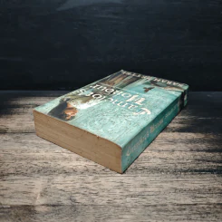 Camelot's Shadow - Sarah Zettel รูปที่ 5