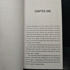 Too Far Gone - Allison Brennan รูปที่ 7