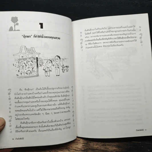 บ้านกับต้นไม้ - ยอดเยี่ยม เทพธรานนท์ รูปที่ 9