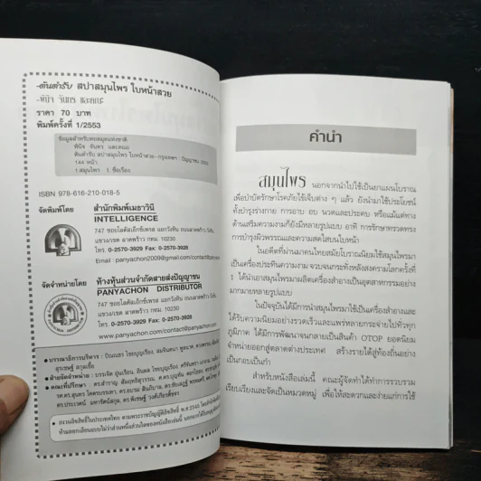 ต้นตำรับสปาสมุนไพรใบหน้าสวย - พินิจ จันทร และคณะ รูปที่ 6