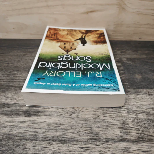 Mockingbird Songs - R.J.Ellory รูปที่ 4
