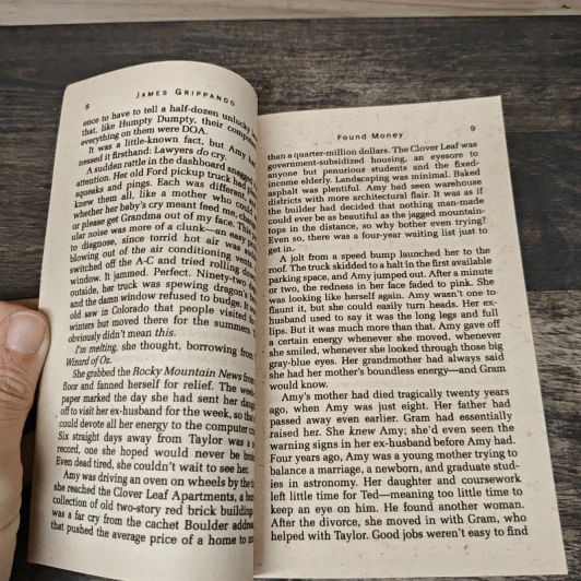 Found Money - James Grippando รูปที่ 7