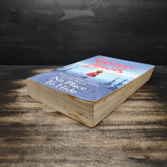 No Place to Hide - Susan Lewis รูปที่ 4