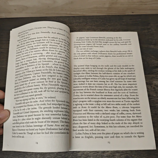 The Siege - Arturo Pérez-Reverte รูปที่ 8