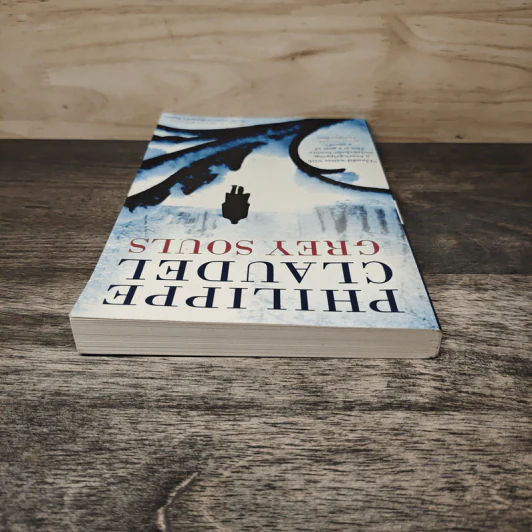 Grey Souls - Philippe Claudel รูปที่ 4