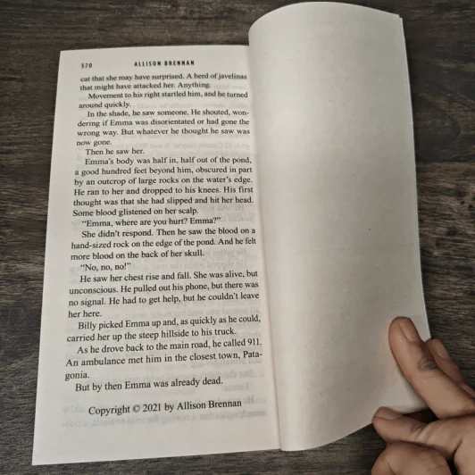 The Third to Die - Allison Brennan รูปที่ 8