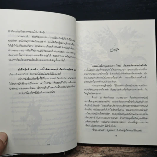 มหันตภัยเหนือแซ็งตาแฟร็กซ์ Midnight Over Sanctaphrax รูปที่ 8