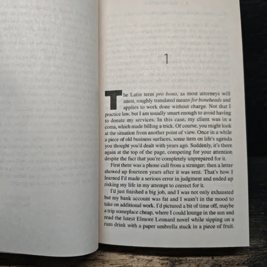 O Is for Outlaw - Sue Grafton รูปที่ 7