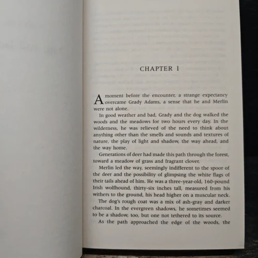 Breathless - Dean Koontz รูปที่ 7