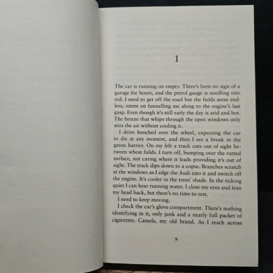 Stone Bruises - Simon Beckett รูปที่ 7