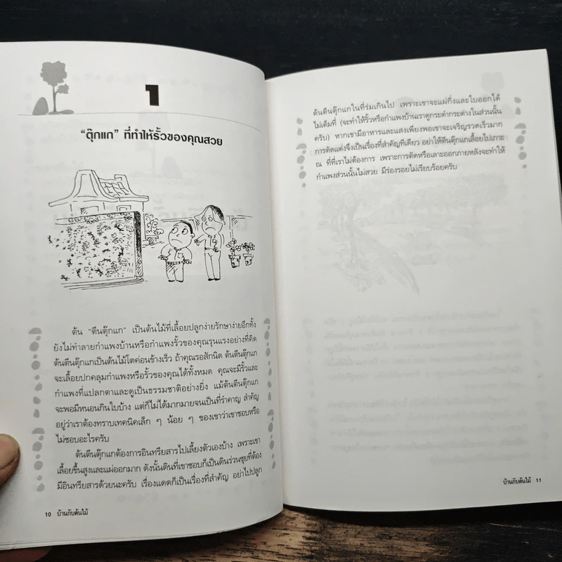บ้านกับต้นไม้ - ยอดเยี่ยม เทพธรานนท์ รูปที่ 9