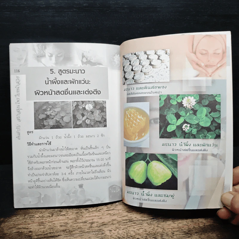 ต้นตำรับสปาสมุนไพรใบหน้าสวย - พินิจ จันทร และคณะ รูปที่ 11