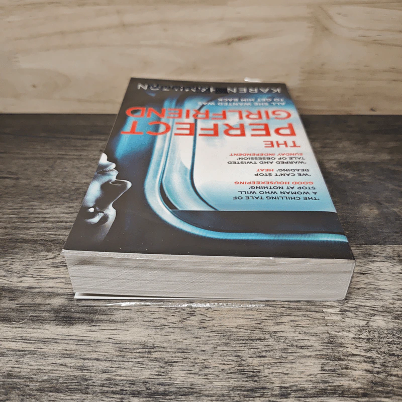 The Perfect Girlfriend - Karen Hamilton รูปที่ 4