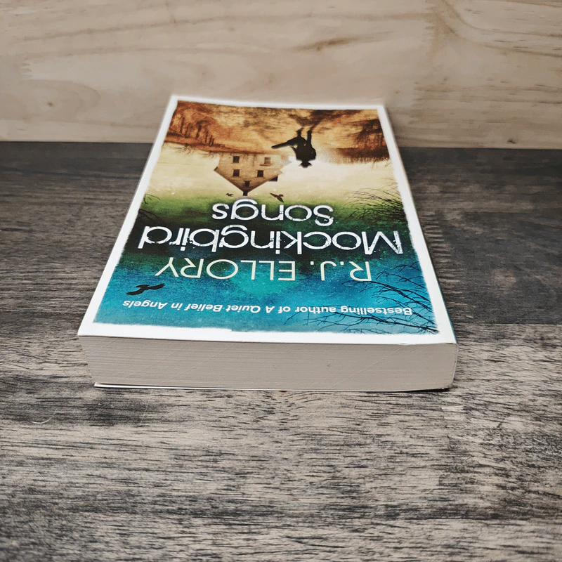 Mockingbird Songs - R.J.Ellory รูปที่ 4