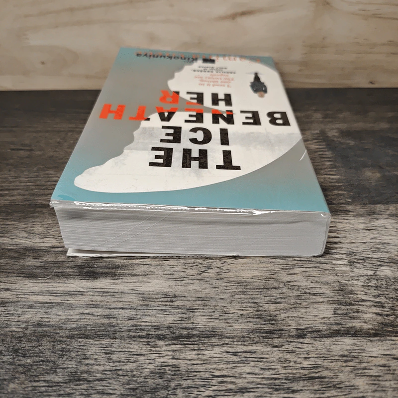 THE ICE BENEATH HER - Camilla Grebe รูปที่ 4