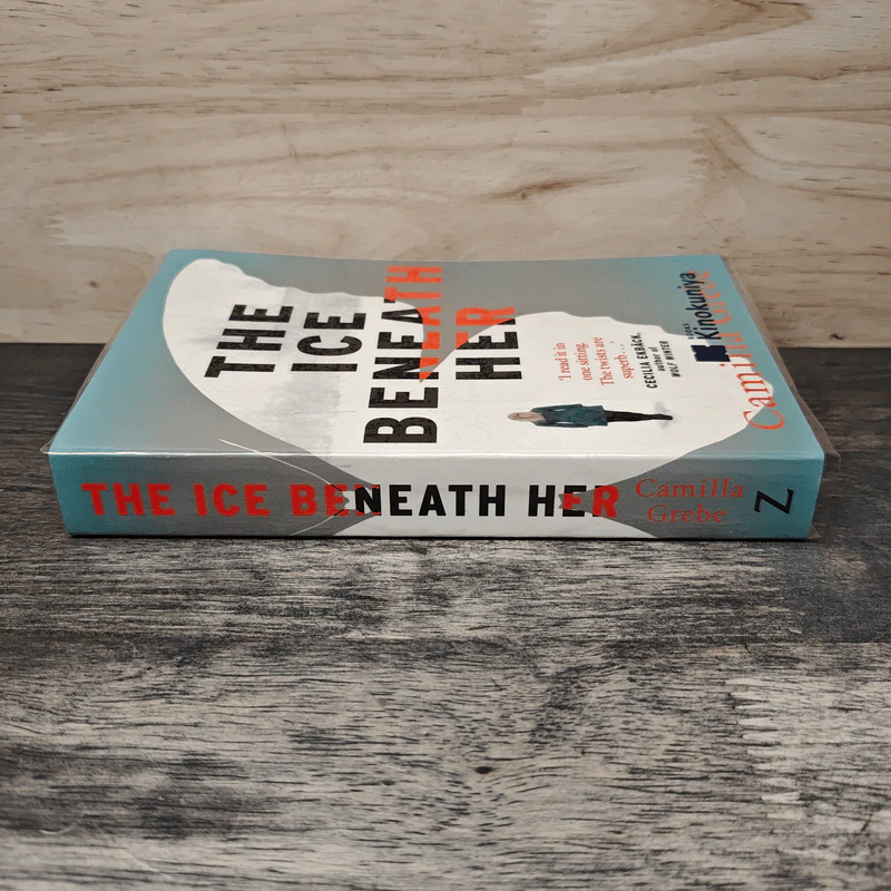THE ICE BENEATH HER - Camilla Grebe รูปที่ 2