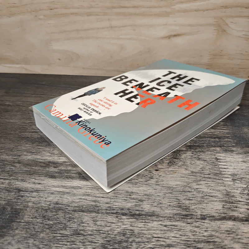 THE ICE BENEATH HER - Camilla Grebe รูปที่ 3
