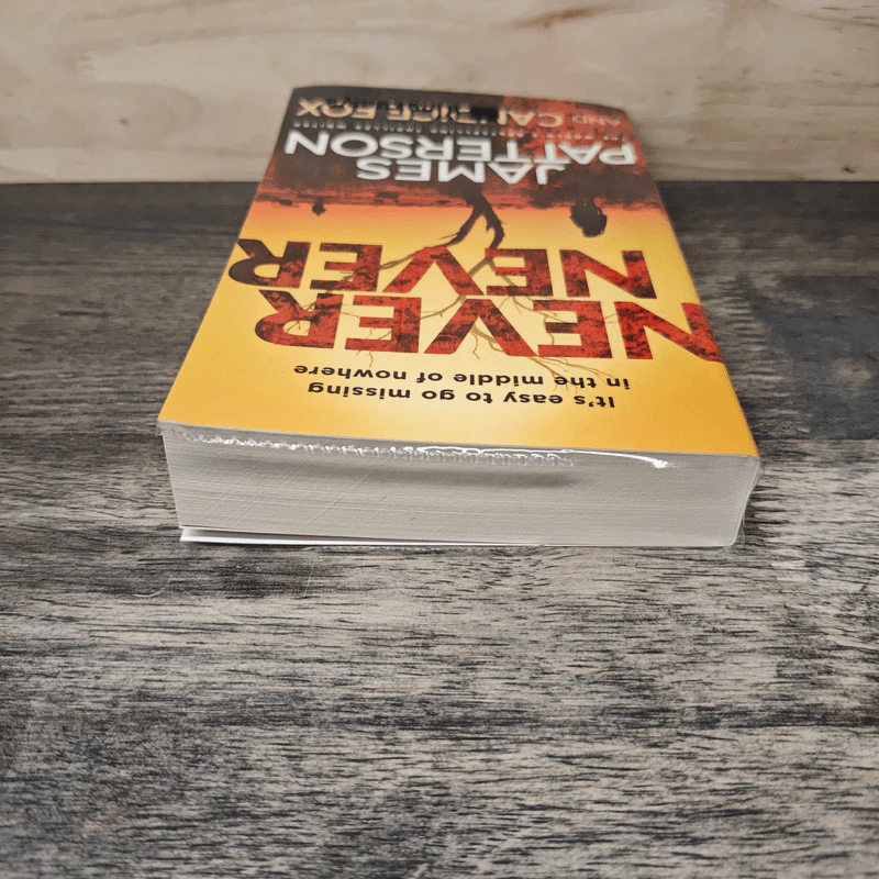 Never Never - James Patterson รูปที่ 4