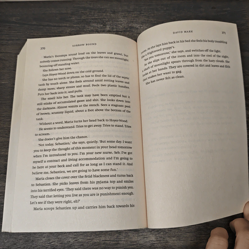 Sorrow Bound - David Mark รูปที่ 8
