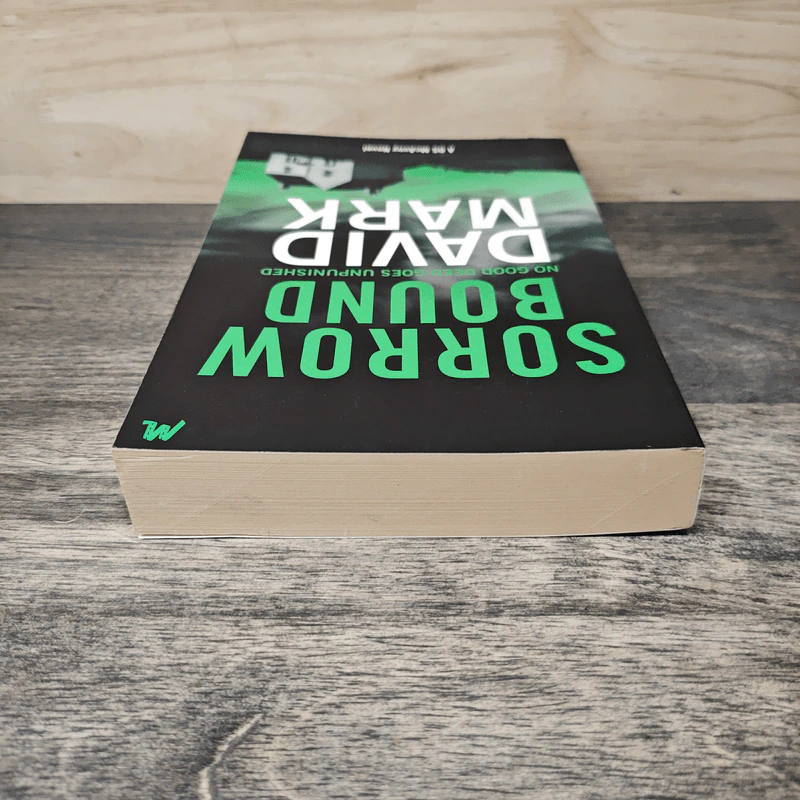 Sorrow Bound - David Mark รูปที่ 4