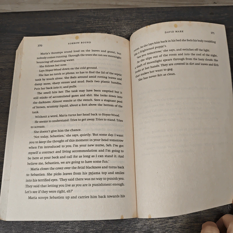 Sorrow Bound - David Mark รูปที่ 7