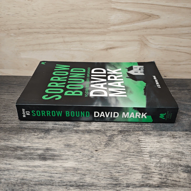 Sorrow Bound - David Mark รูปที่ 2