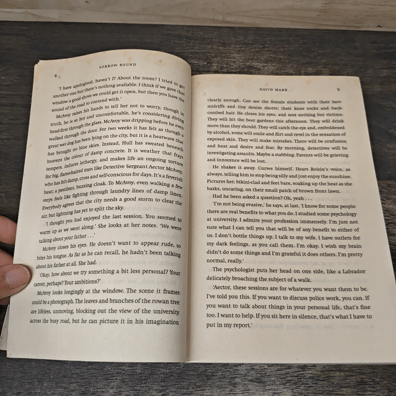 Sorrow Bound - David Mark รูปที่ 6