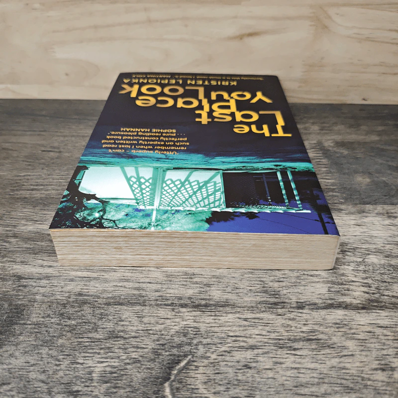 The Last Place You Look - Kristen Lepionka รูปที่ 4