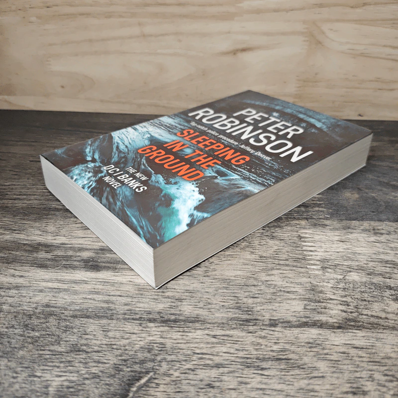Sleeping in the Ground - Peter Robinson รูปที่ 3