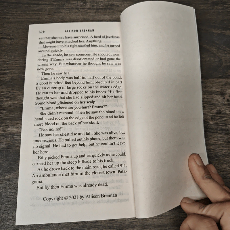 The Third to Die - Allison Brennan รูปที่ 8