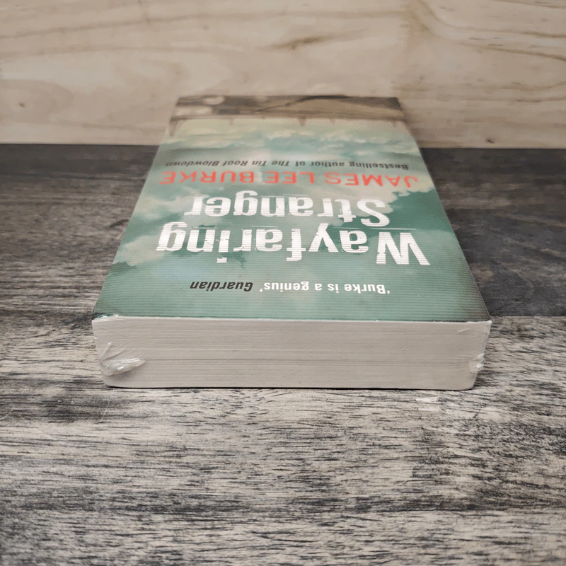 Wayfaring Stranger - James Lee Burke รูปที่ 4