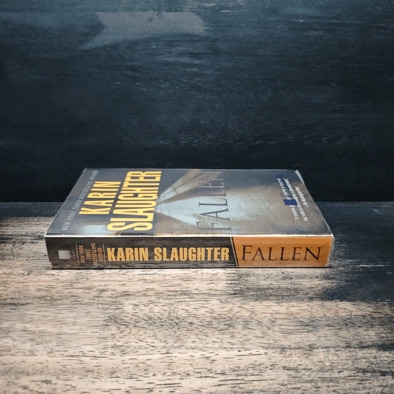 Fallen - Karin Slaughter รูปที่ 3