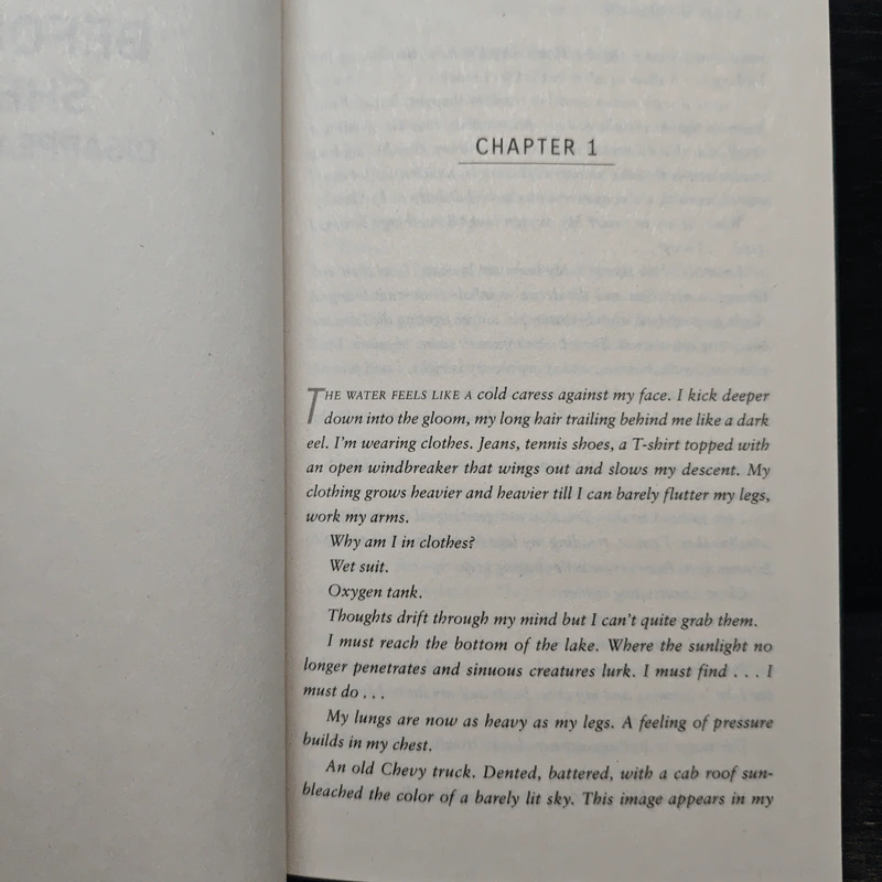 Before She Disappeared - Lisa Gardner รูปที่ 7