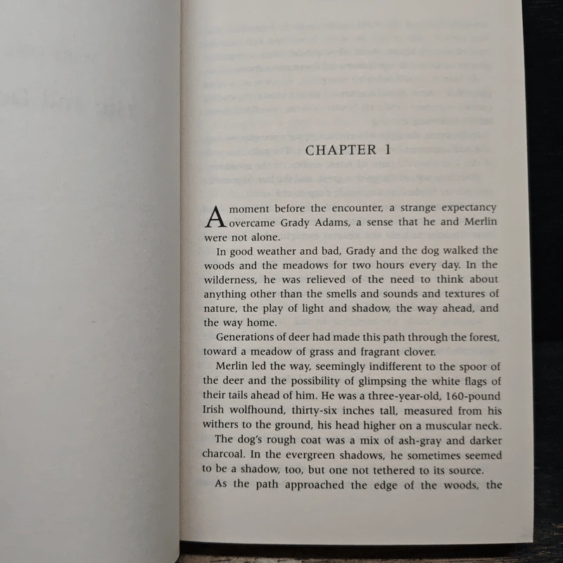 Breathless - Dean Koontz รูปที่ 7
