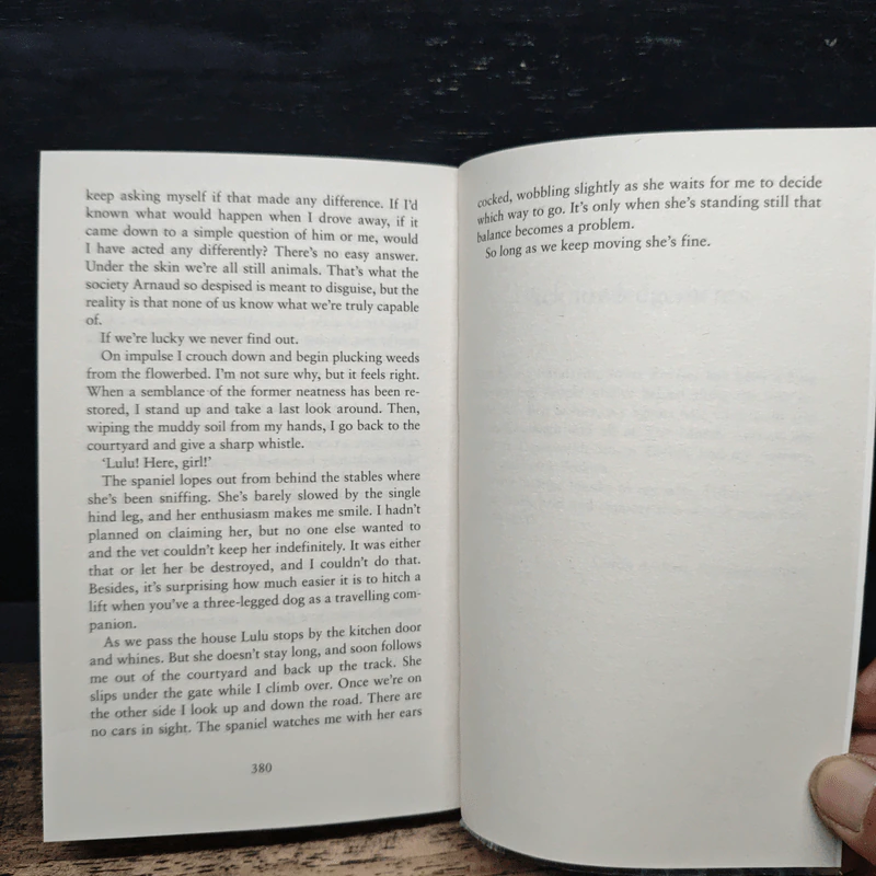 Stone Bruises - Simon Beckett รูปที่ 8