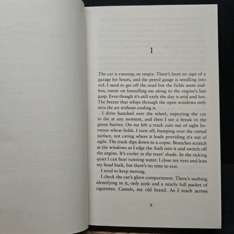 Stone Bruises - Simon Beckett รูปที่ 7