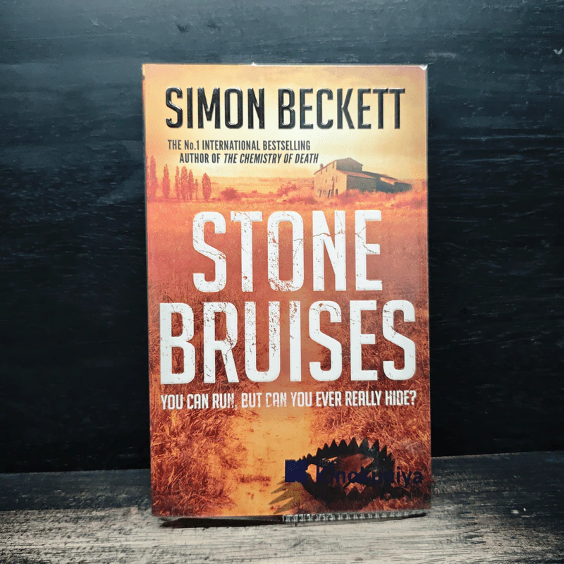 Stone Bruises - Simon Beckett รูปที่ 1