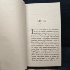 Dark Places - Gillian Flynn รูปที่ 7