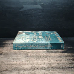 Camelot's Shadow - Sarah Zettel รูปที่ 3