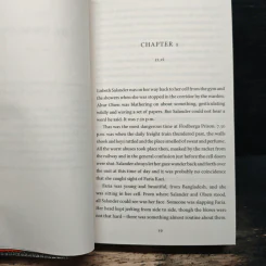The Girl Who Takes an Eye for an Eye - David Lagercrantz รูปที่ 7
