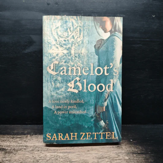 Camelot's Shadow - Sarah Zettel รูปที่ 1